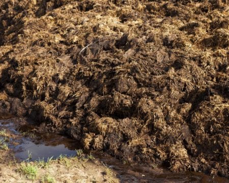 Biologische meststoffen